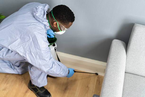 Best Real Estate Pest Inspections  in Bret Harte, CA